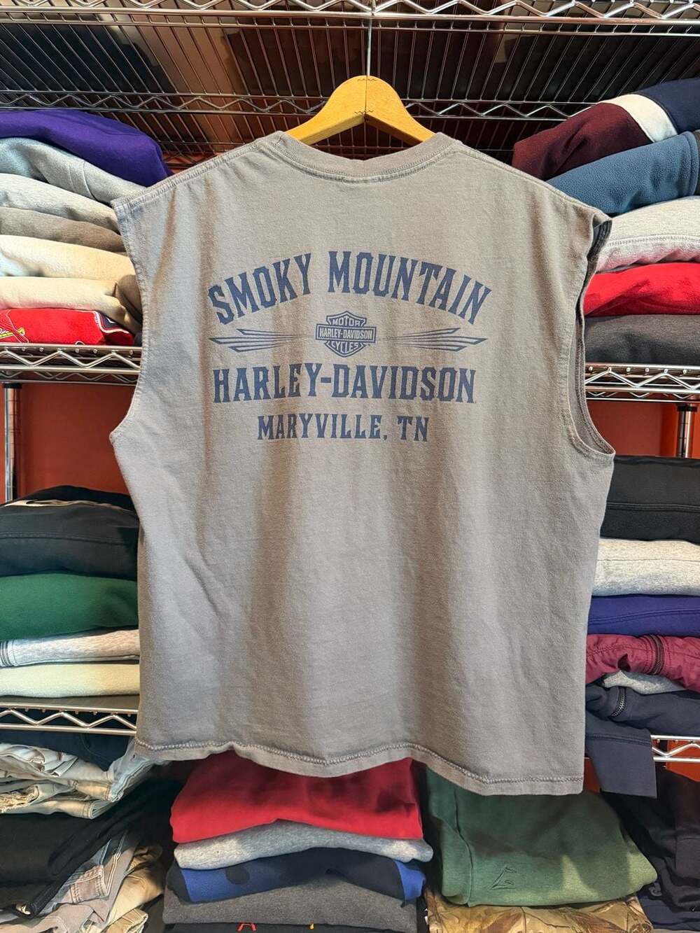 Harley-Davidson Sleeveless T-Shirt Menโs XL Gray Smoky Mountain Maryville TN